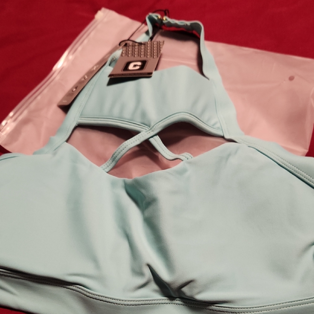 The Chestee Sky Blue Sports Bra